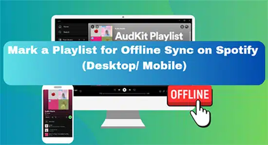 how to mark a playlist for offline sync spotify